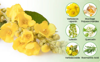 🇦🇺✅CareBreeze® Botanical Mullein Lung Cleanse Diffuser(🫁Cough, Pharyngitis, shortness of breath, sputum, stuffy nose, bronchitis, bronchitis, allergy symptoms, lung discomfort💝)