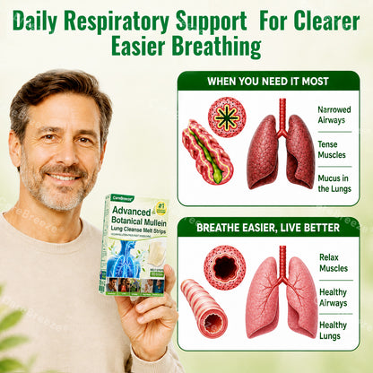🇦🇺 ✅CareBreeze® Advanced Botanical Mullein Lung Cleanse Melt Strips（👨‍⚕️Directly acts on COPD, asthma, chronic bronchitis (CB), respiratory infections, lung cancer, sinusitis, and other conditions）
