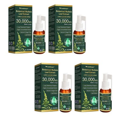🛡️✅Official Store:CareBreeze® Botanical Mullein Leaf Extract Lung Cleanse Spray🫁（👨‍⚕️Directly acts on COPD, asthma, chronic bronchitis (CB), respiratory infections, lung cancer, sinusitis, and other conditions）
