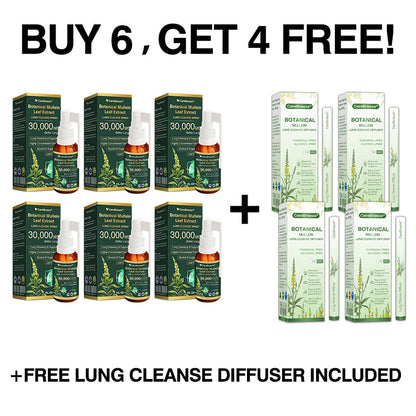 🛡️✅Official Store:CareBreeze® Botanical Mullein Leaf Extract Lung Cleanse Spray🫁（👨‍⚕️Directly acts on COPD, asthma, chronic bronchitis (CB), respiratory infections, lung cancer, sinusitis, and other conditions）