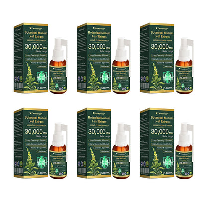 🛡️✅Official Store:CareBreeze® Botanical Mullein Leaf Extract Lung Cleanse Spray🫁（👨‍⚕️Directly acts on COPD, asthma, chronic bronchitis (CB), respiratory infections, lung cancer, sinusitis, and other conditions）