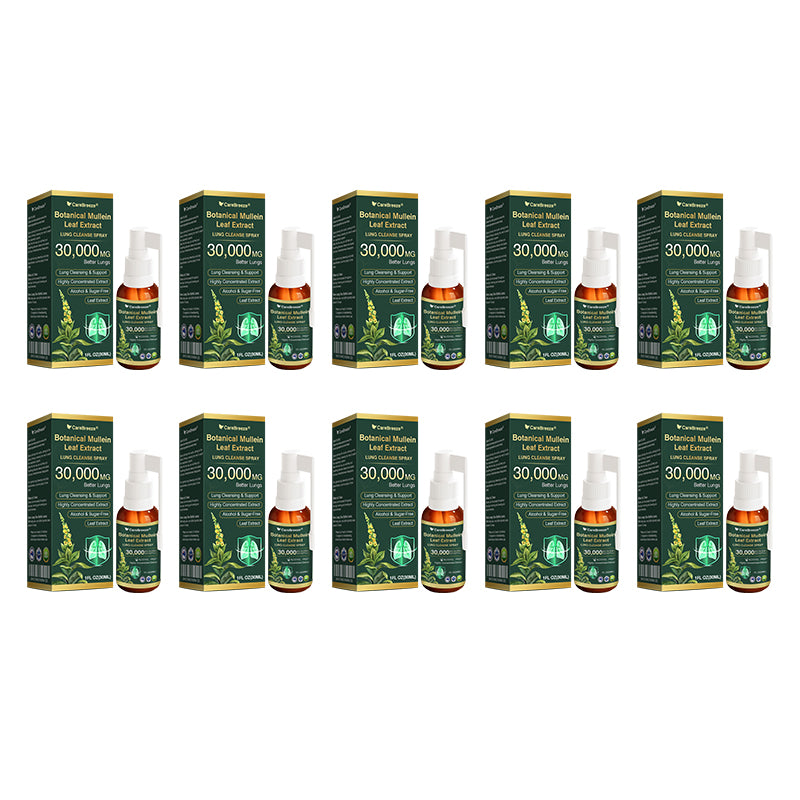 🛡️✅Official Store:CareBreeze® Botanical Mullein Leaf Extract Lung Cleanse Spray🫁（👨‍⚕️Directly acts on COPD, asthma, chronic bronchitis (CB), respiratory infections, lung cancer, sinusitis, and other conditions）