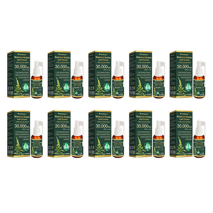 🛡️✅Official Store:CareBreeze® Botanical Mullein Leaf Extract Lung Cleanse Spray🫁（👨‍⚕️Directly acts on COPD, asthma, chronic bronchitis (CB), respiratory infections, lung cancer, sinusitis, and other conditions）