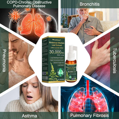 🛡️✅Official Store:CareBreeze® Botanical Mullein Leaf Extract Lung Cleanse Spray🫁（👨‍⚕️Directly acts on COPD, asthma, chronic bronchitis (CB), respiratory infections, lung cancer, sinusitis, and other conditions）