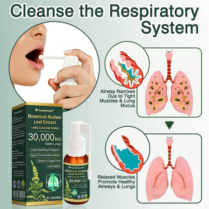 🛡️✅Official Store:CareBreeze® Botanical Mullein Leaf Extract Lung Cleanse Spray🫁（👨‍⚕️Directly acts on COPD, asthma, chronic bronchitis (CB), respiratory infections, lung cancer, sinusitis, and other conditions）