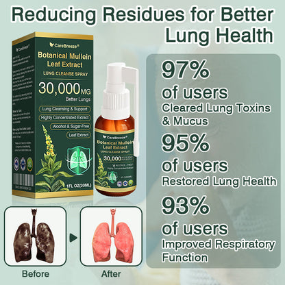🛡️✅Official Store:CareBreeze® Botanical Mullein Leaf Extract Lung Cleanse Spray🫁（👨‍⚕️Directly acts on COPD, asthma, chronic bronchitis (CB), respiratory infections, lung cancer, sinusitis, and other conditions）