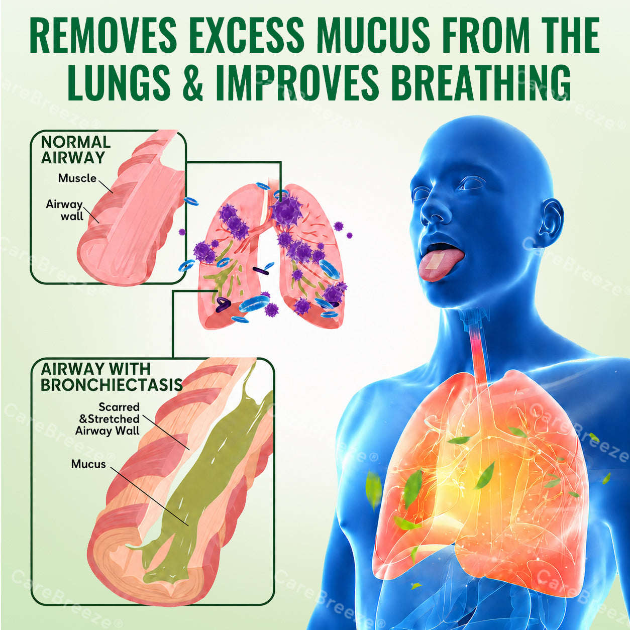 🇦🇺 ✅CareBreeze® Advanced Botanical Mullein Lung Cleanse Melt Strips（👨‍⚕️Directly acts on COPD, asthma, chronic bronchitis (CB), respiratory infections, lung cancer, sinusitis, and other conditions）