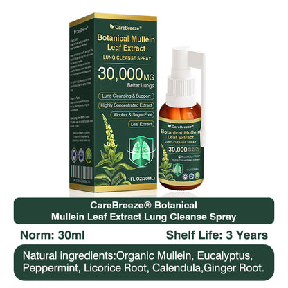 🛡️✅Official Store:CareBreeze® Botanical Mullein Leaf Extract Lung Cleanse Spray🫁（👨‍⚕️Directly acts on COPD, asthma, chronic bronchitis (CB), respiratory infections, lung cancer, sinusitis, and other conditions）