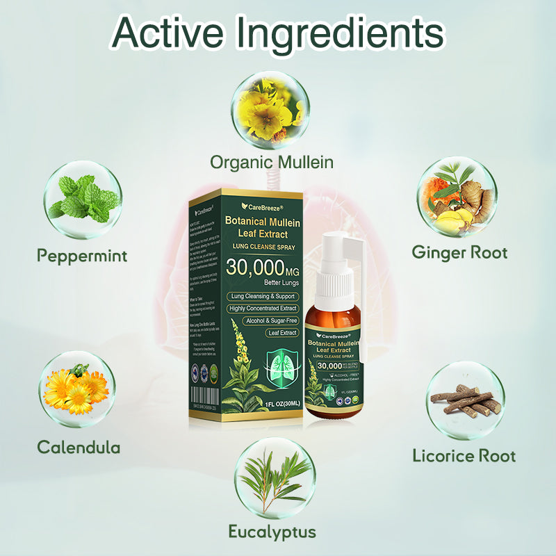 🛡️✅Official Store:CareBreeze® Botanical Mullein Leaf Extract Lung Cleanse Spray🫁（👨‍⚕️Directly acts on COPD, asthma, chronic bronchitis (CB), respiratory infections, lung cancer, sinusitis, and other conditions）